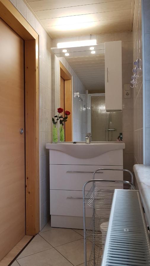Ferienwohnung Berndt Oberweißbach 외부 사진